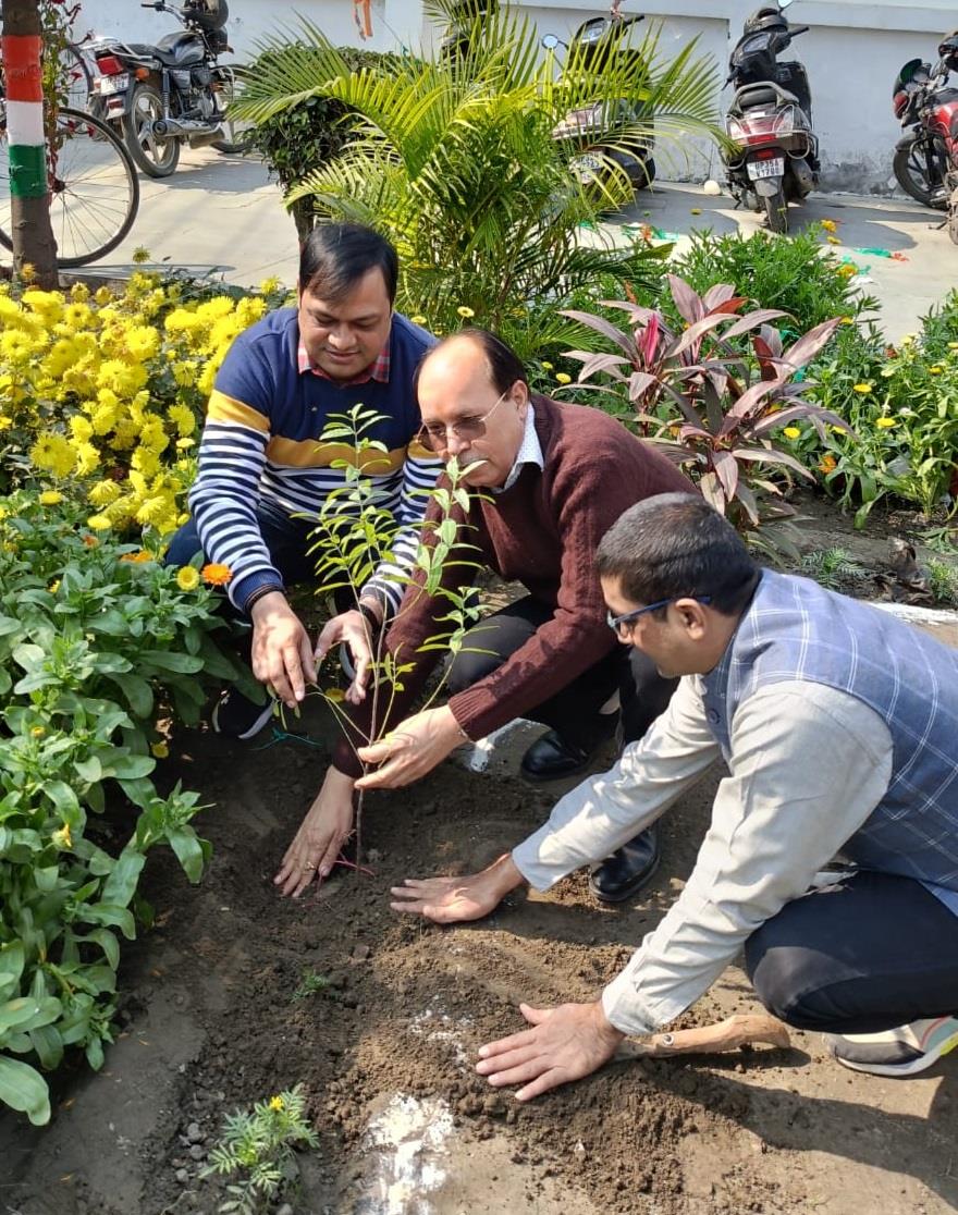 पौधा रोपण कार्यक्रम